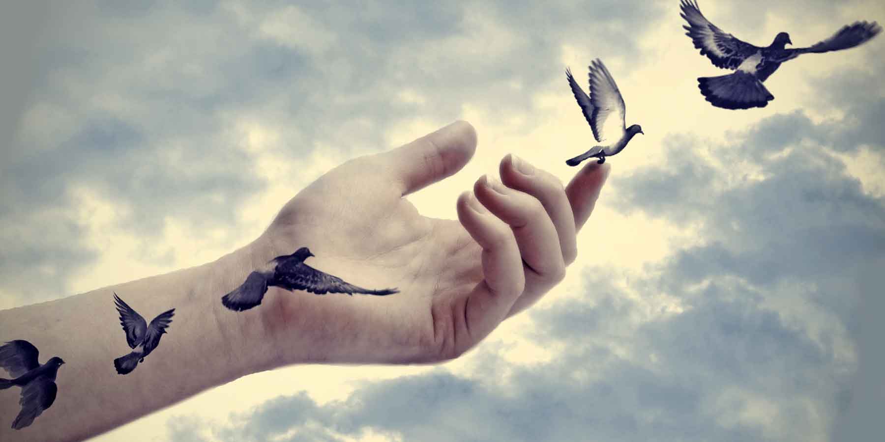 Read more about the article Πώς αρχίζει η ελευθερία — η ελευθερία να είσαι ο εαυτός σου