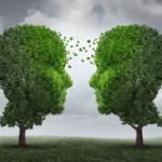 Πώς ξεκινά η διαφοροποίηση