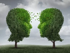 Read more about the article Πώς ξεκινά η διαφοροποίηση